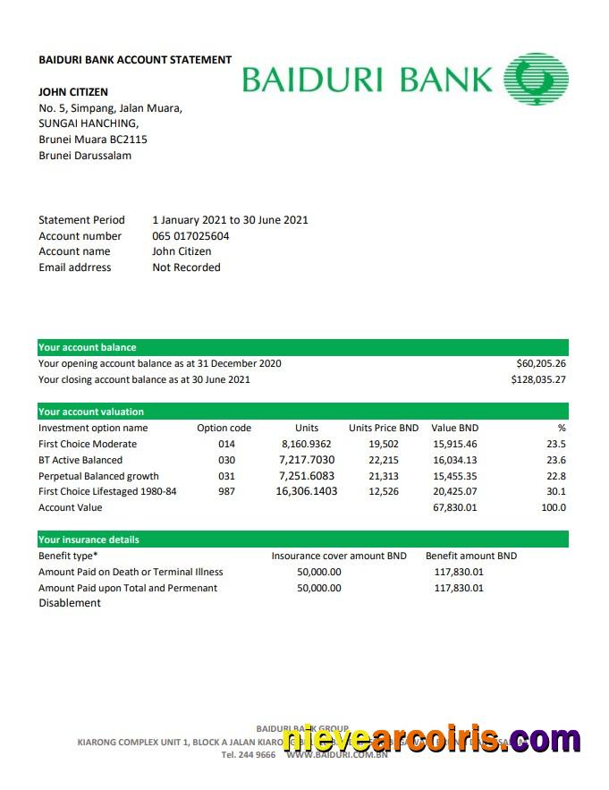 Brunei Baiduri bank statement easy to fill in Excel and PDF format (AutoSum)
